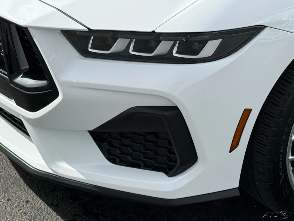 2024 Ford S650 Mustang - Image 8 of 12