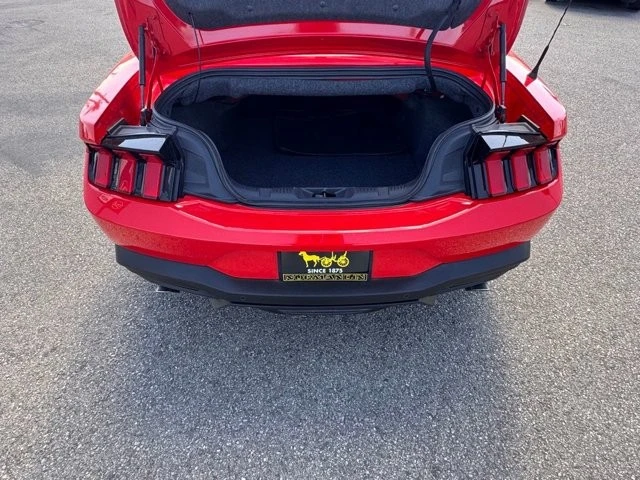 2024 Ford S650 Mustang - Image 14 of 21