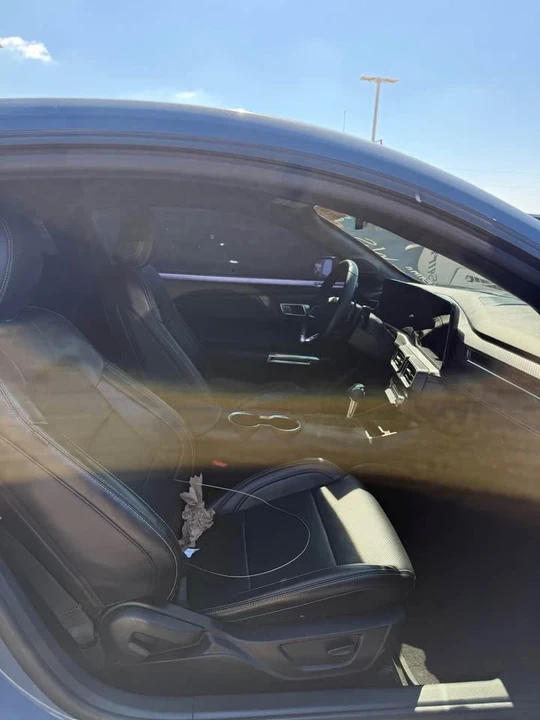 2024 Ford S650 Mustang - Image 6 of 8