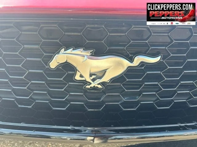 2024 Ford S650 Mustang GT - Image 6 of 15