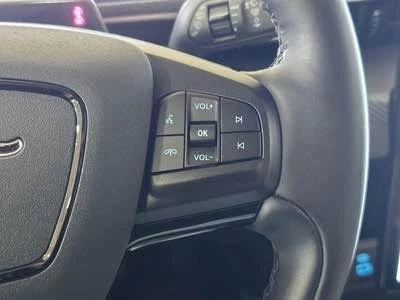 2024 Ford Mustang Mach-E - Image 16 of 20