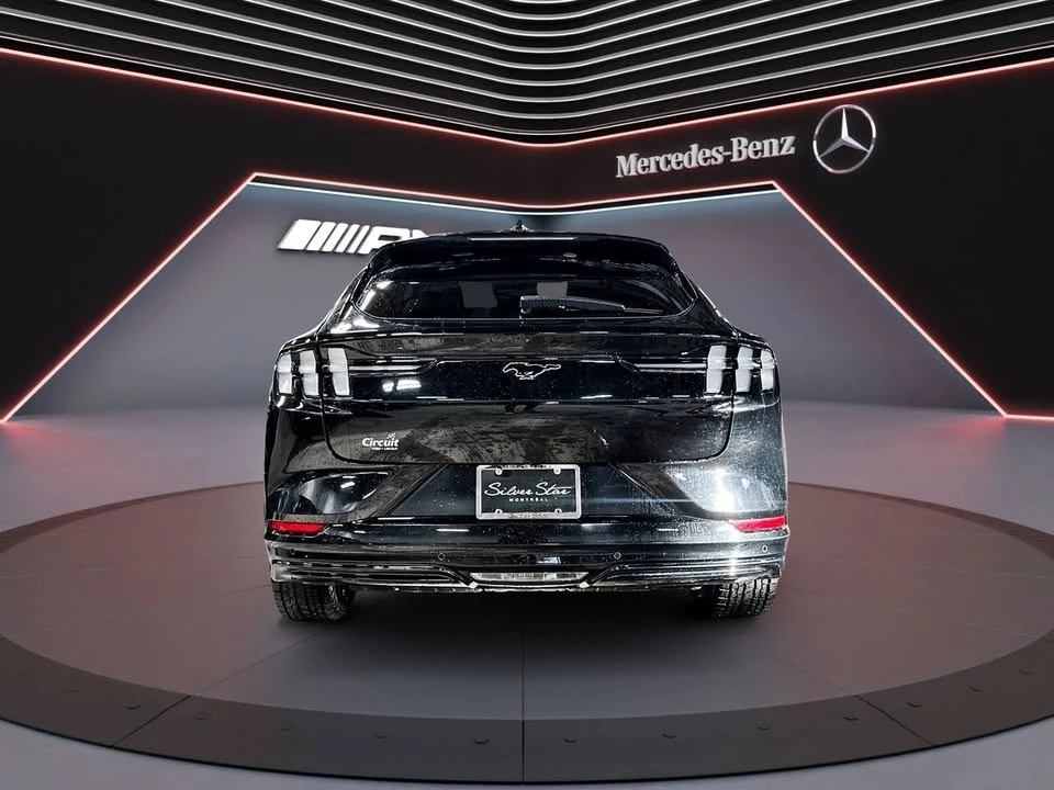2024 Ford Mustang Mach-E - Image 10 of 10