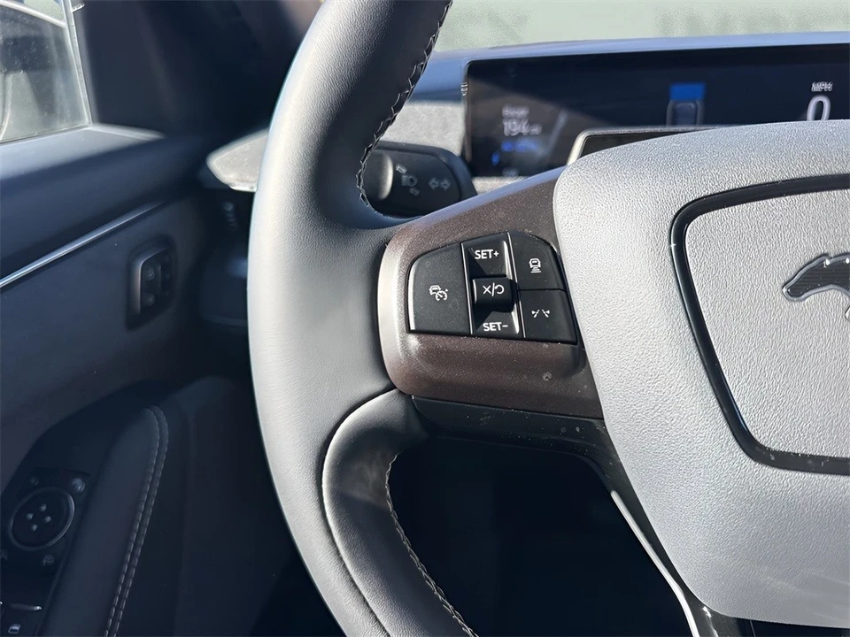 2024 Ford Mustang Mach-E - Image 16 of 21