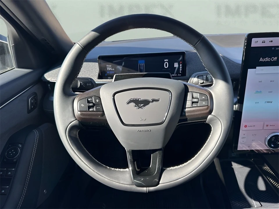 2024 Ford Mustang Mach-E - Image 15 of 21