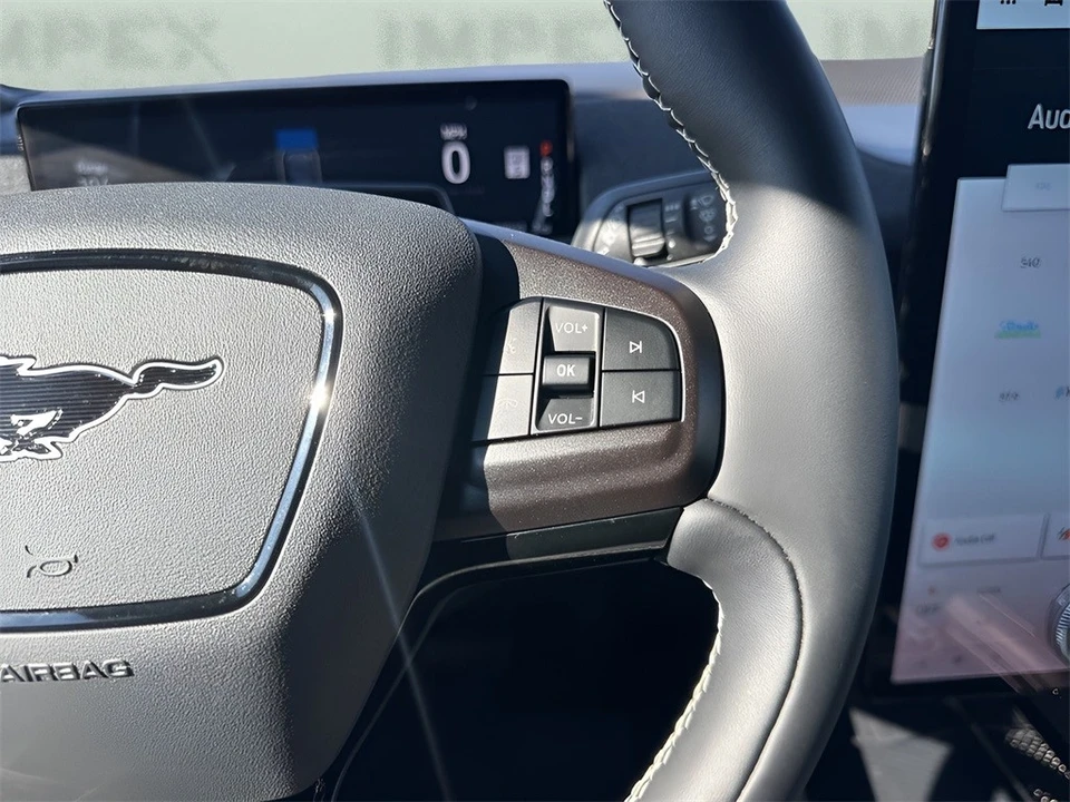 2024 Ford Mustang Mach-E - Image 17 of 21