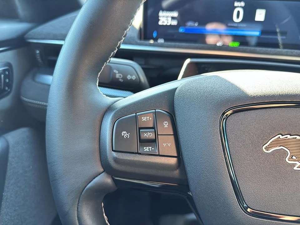 2024 Ford Mustang Mach-E - Image 16 of 20