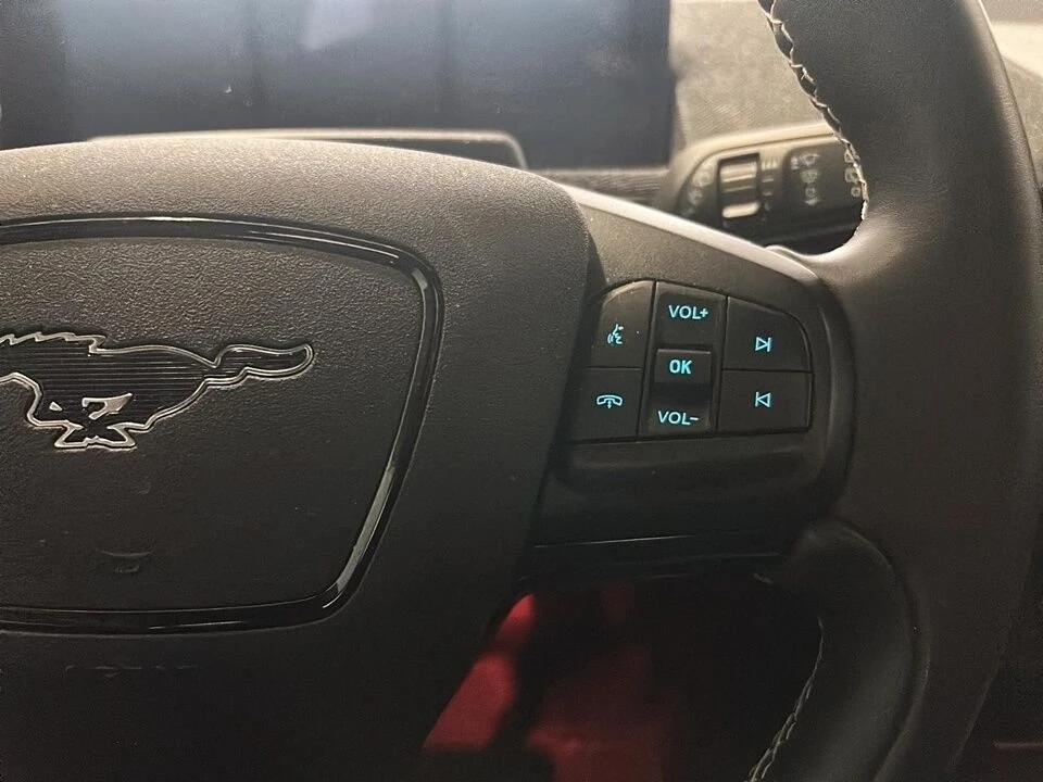 2024 Ford Mustang Mach-E - Image 13 of 20
