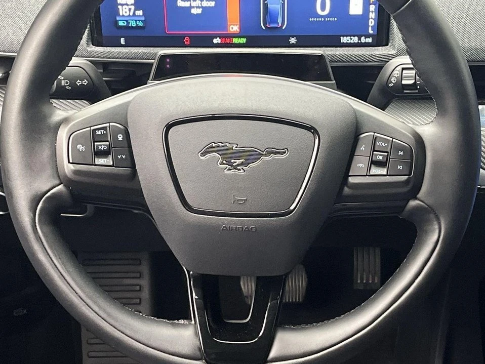 2024 Ford Mustang Mach-E - Image 19 of 20