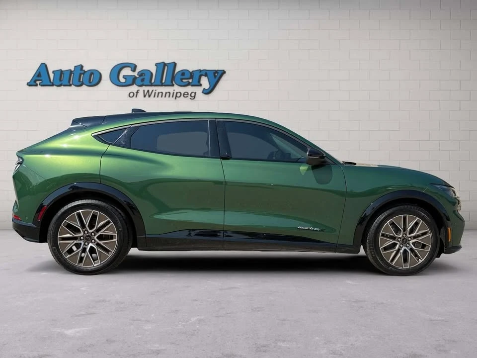 2024 Ford Mustang Mach-E - Image 6 of 20