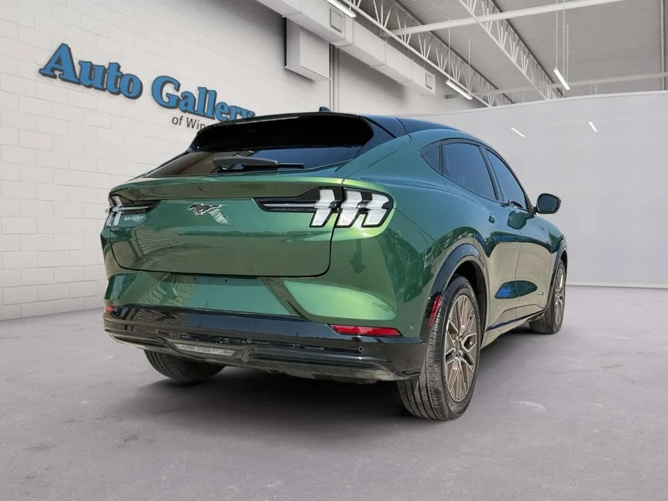 2024 Ford Mustang Mach-E - Image 5 of 20