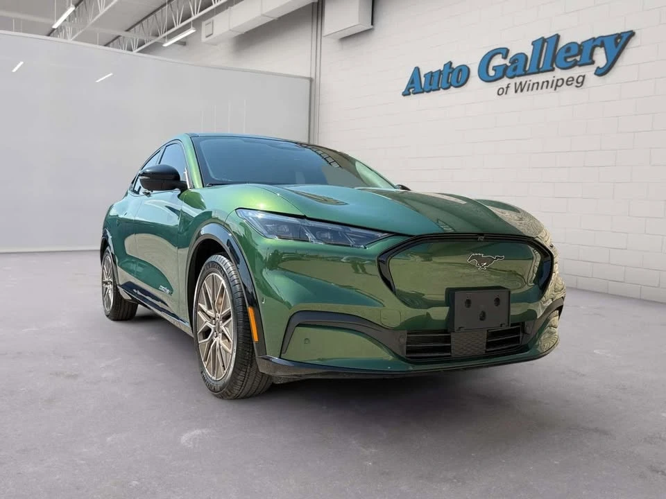 2024 Ford Mustang Mach-E - Image 7 of 20