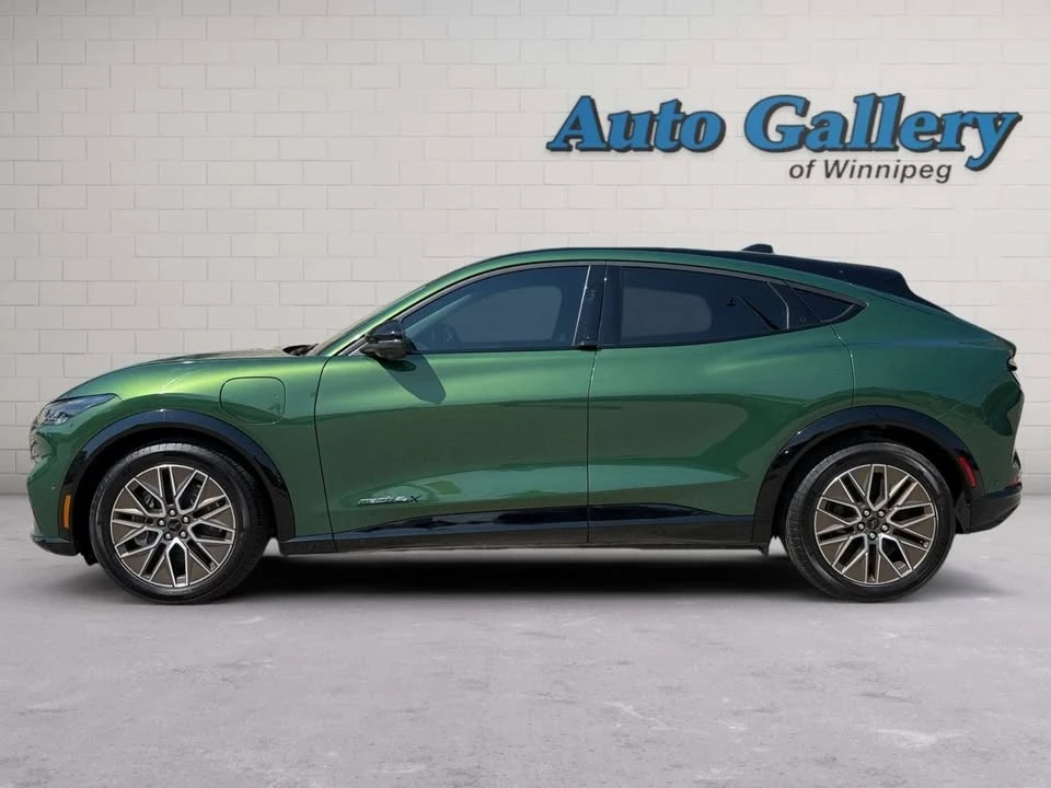 2024 Ford Mustang Mach-E - Image 2 of 20