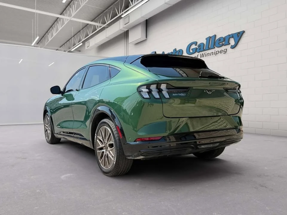2024 Ford Mustang Mach-E - Image 3 of 20