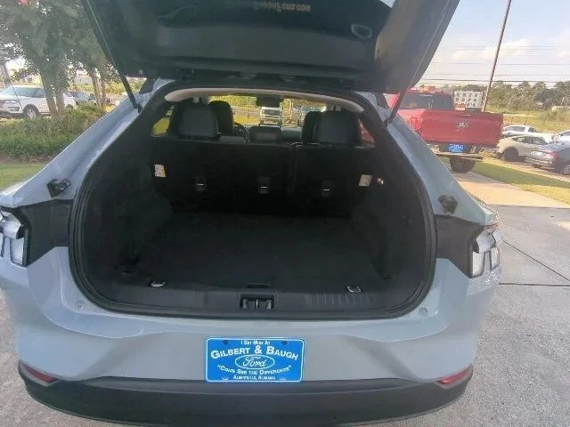 2024 Ford Mustang Mach-E - Image 16 of 18