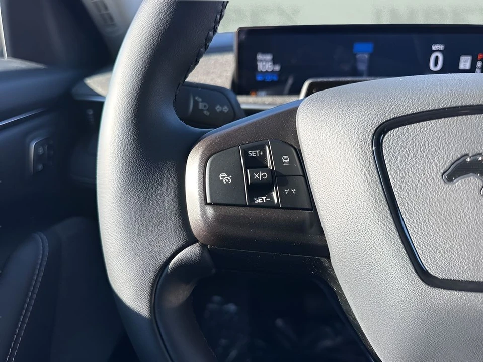 2024 Ford Mustang Mach-E - Image 15 of 21
