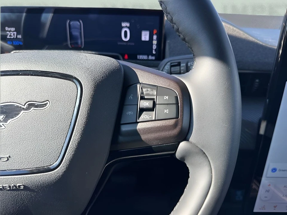 2024 Ford Mustang Mach-E - Image 17 of 21