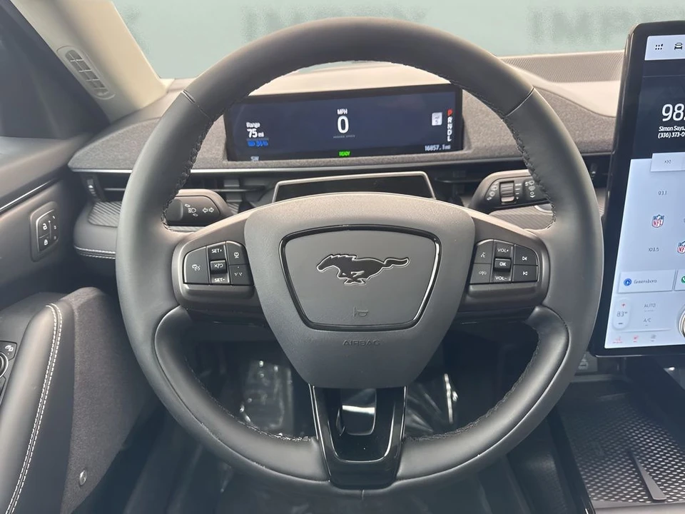 2024 Ford Mustang Mach-E - Image 15 of 21