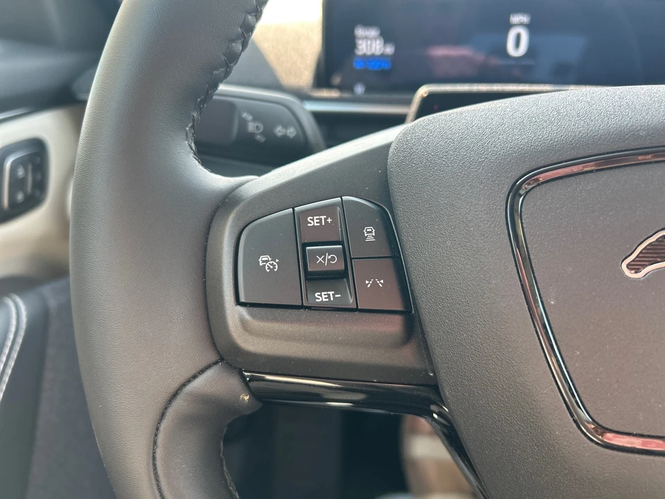 2024 Ford Mustang Mach-E - Image 15 of 21