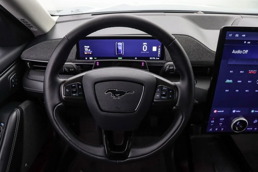 2024 Ford Mustang Mach-E - Image 15 of 21
