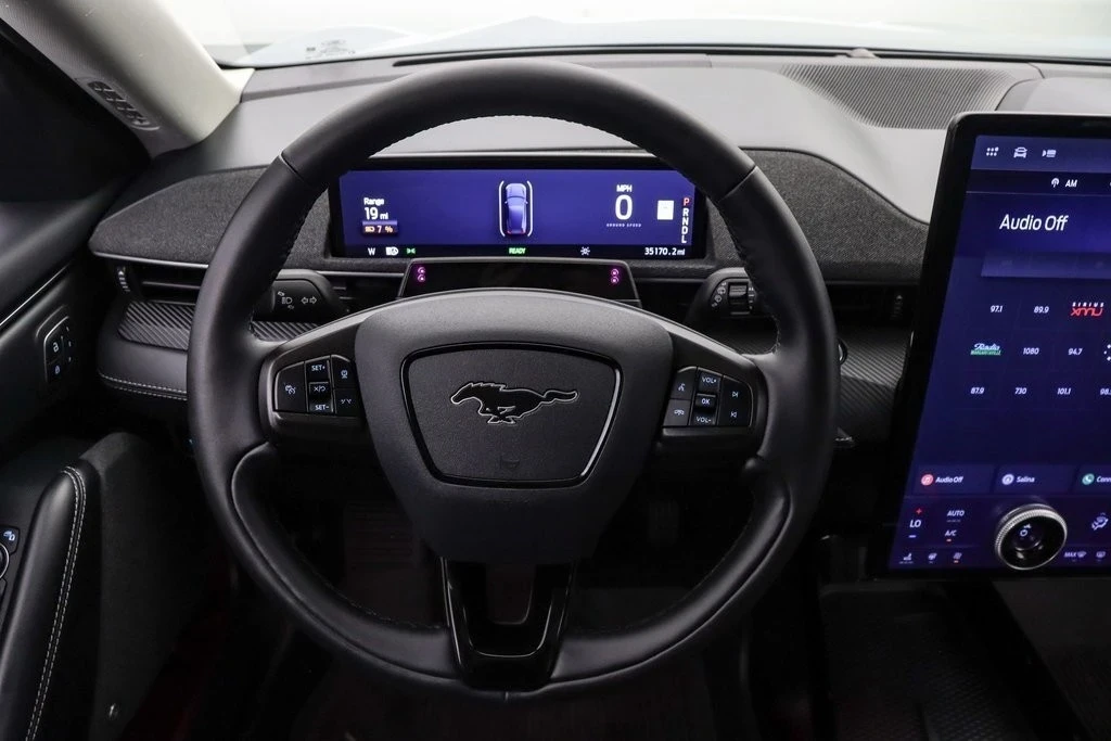 2024 Ford Mustang Mach-E - Image 15 of 21