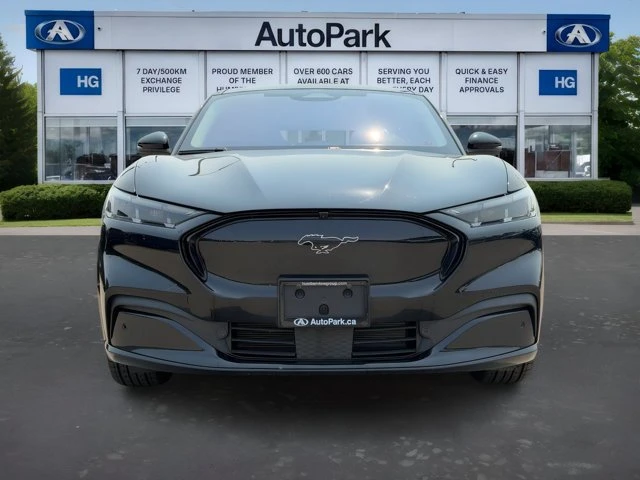 2024 Ford Mustang Mach-E - Image 8 of 20