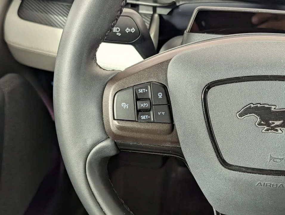2024 Ford Mustang Mach-E - Image 18 of 20