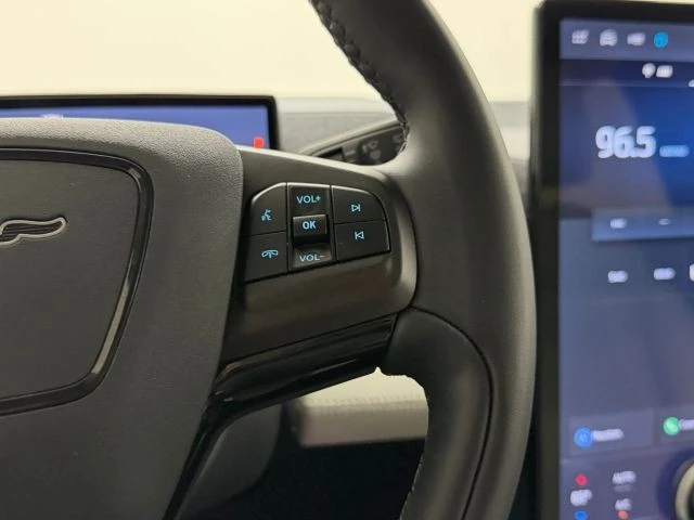 2024 Ford Mustang Mach-E - Image 19 of 31