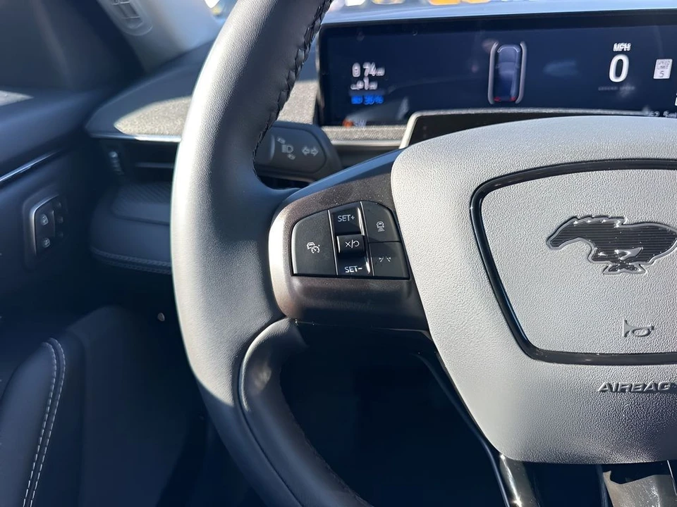 2024 Ford Mustang Mach-E - Image 15 of 21