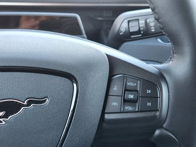 2024 Ford Mustang Mach-E - Image 20 of 20