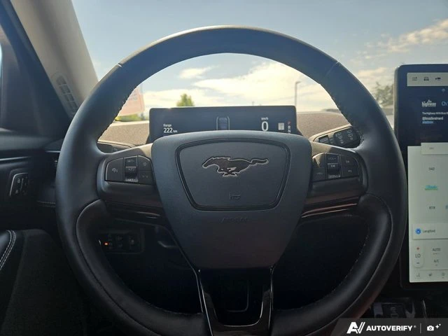 2024 Ford Mustang Mach-E - Image 14 of 20