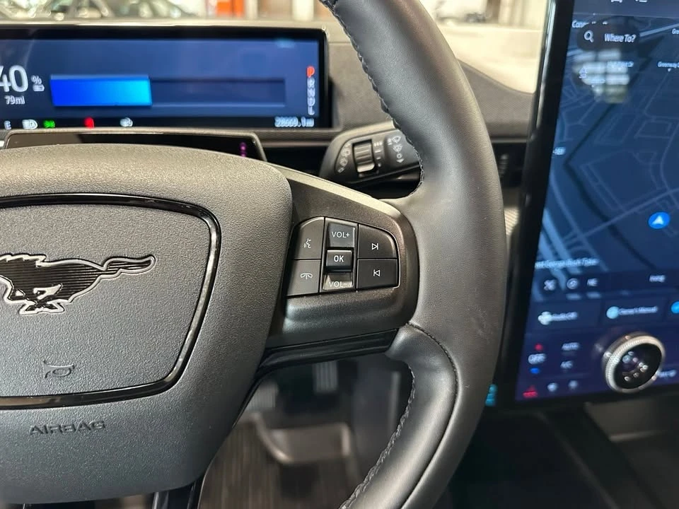 2024 Ford Mustang Mach-E - Image 17 of 20