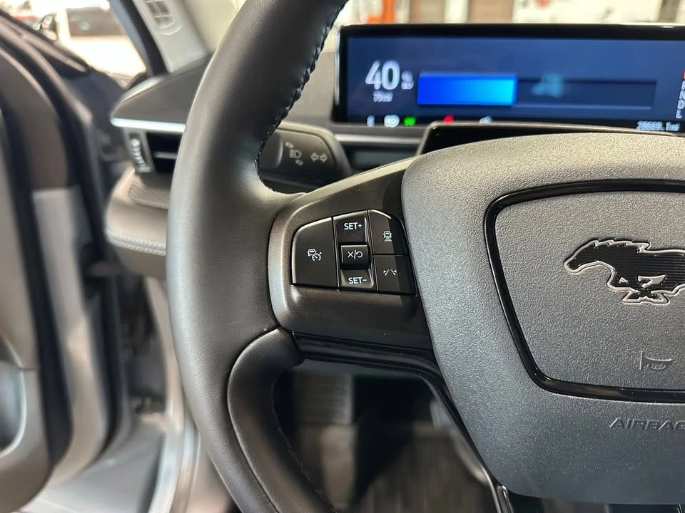 2024 Ford Mustang Mach-E - Image 16 of 20