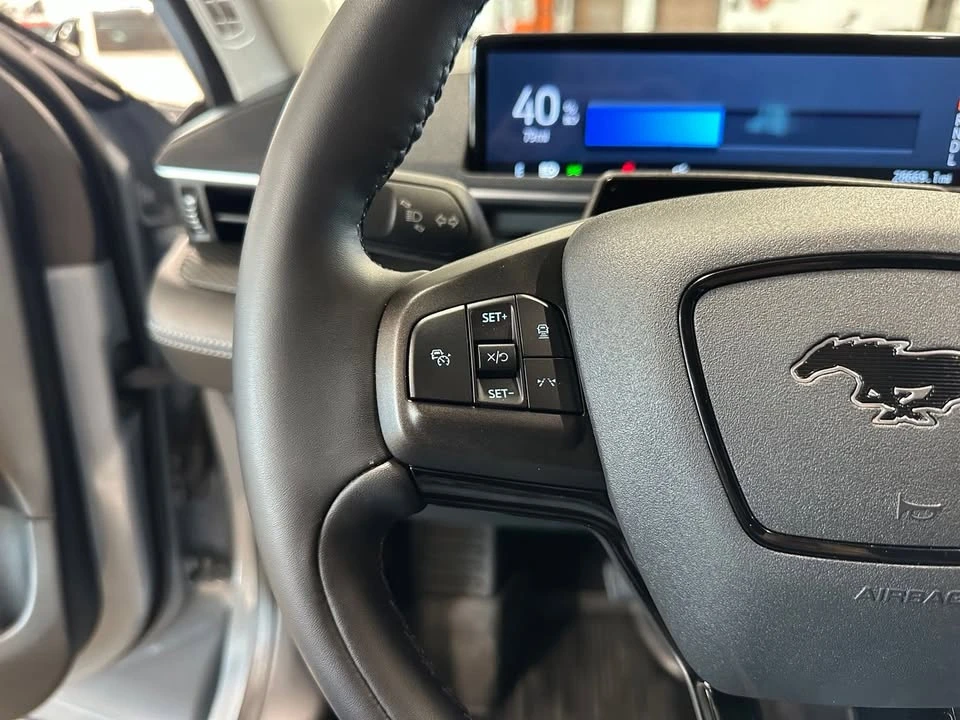 2024 Ford Mustang Mach-E - Image 16 of 20