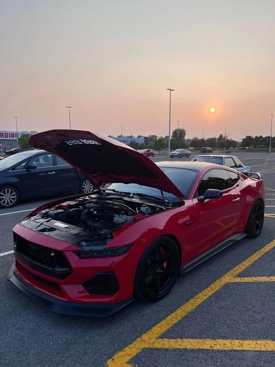 2024 Ford S650 Mustang - Image 5 of 14