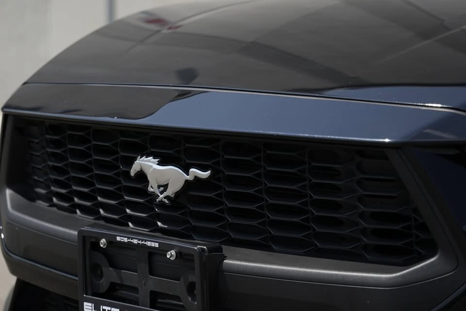 2024 Ford S650 Mustang - Image 8 of 20