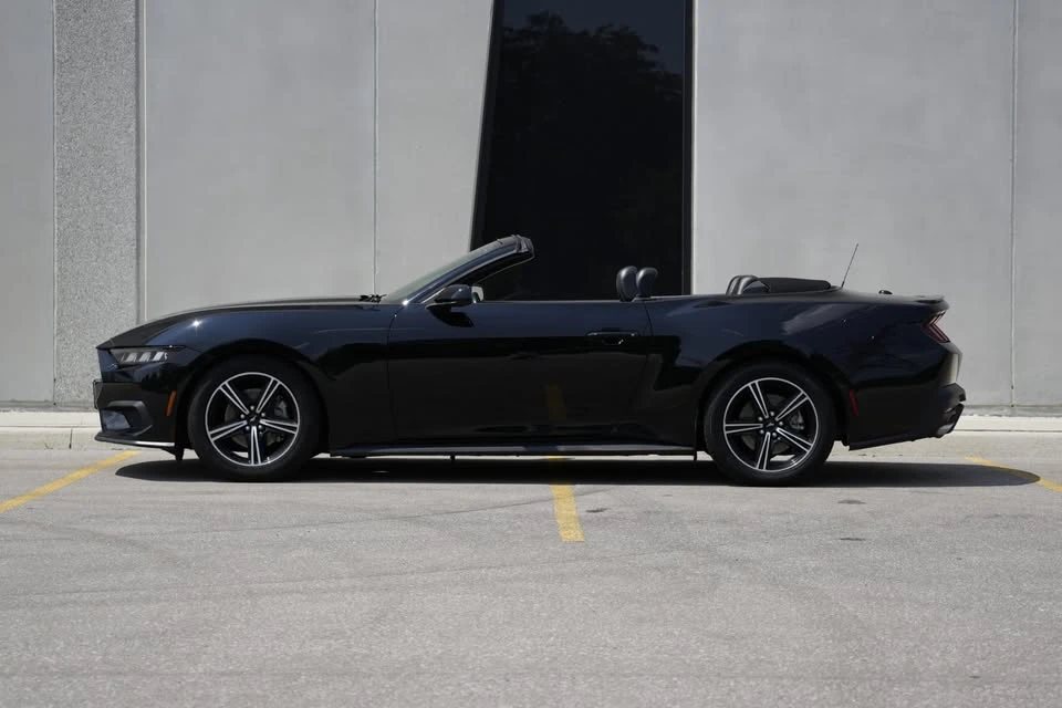 2024 Ford S650 Mustang - Image 5 of 20