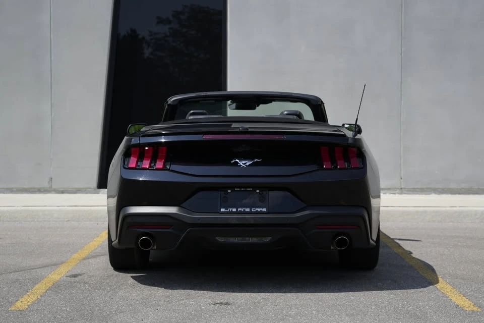 2024 Ford S650 Mustang - Image 6 of 20