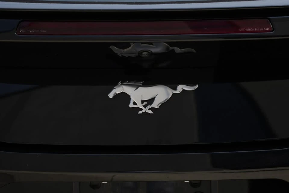 2024 Ford S650 Mustang - Image 13 of 20