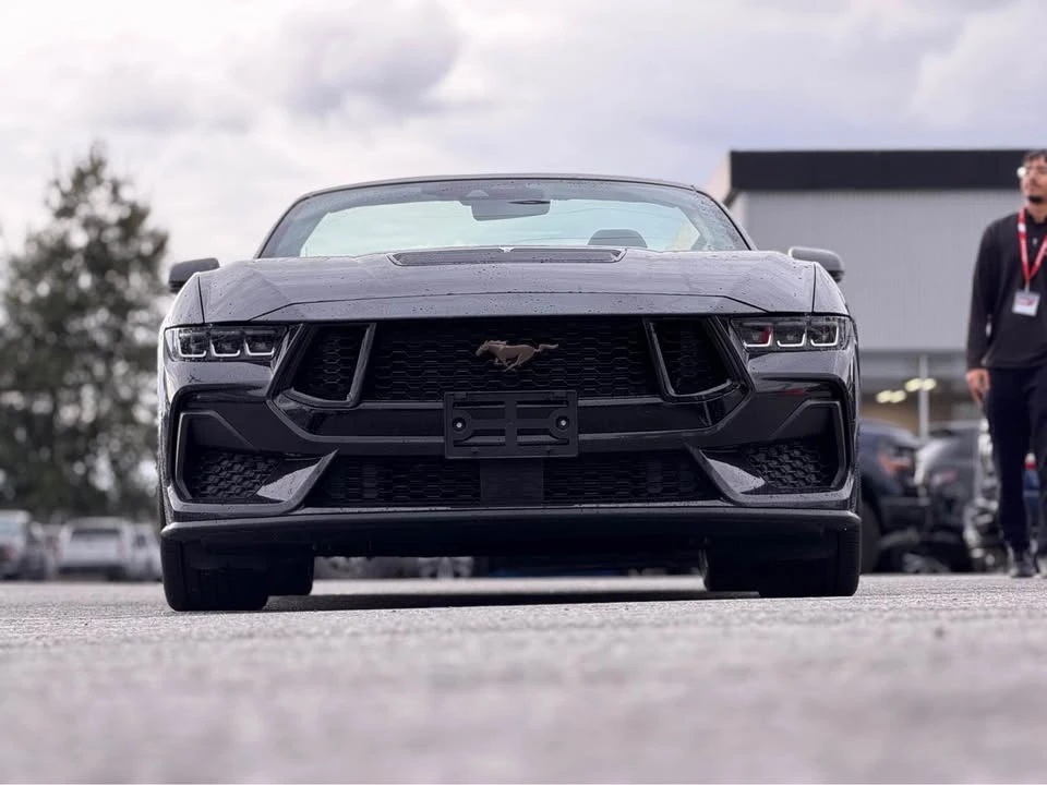 2024 Ford S650 Mustang - Image 2 of 15