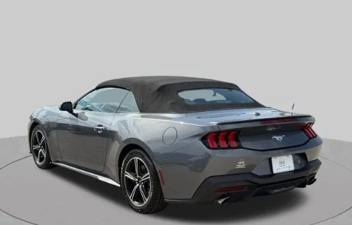 2024 Ford S650 Mustang - Image 6 of 12