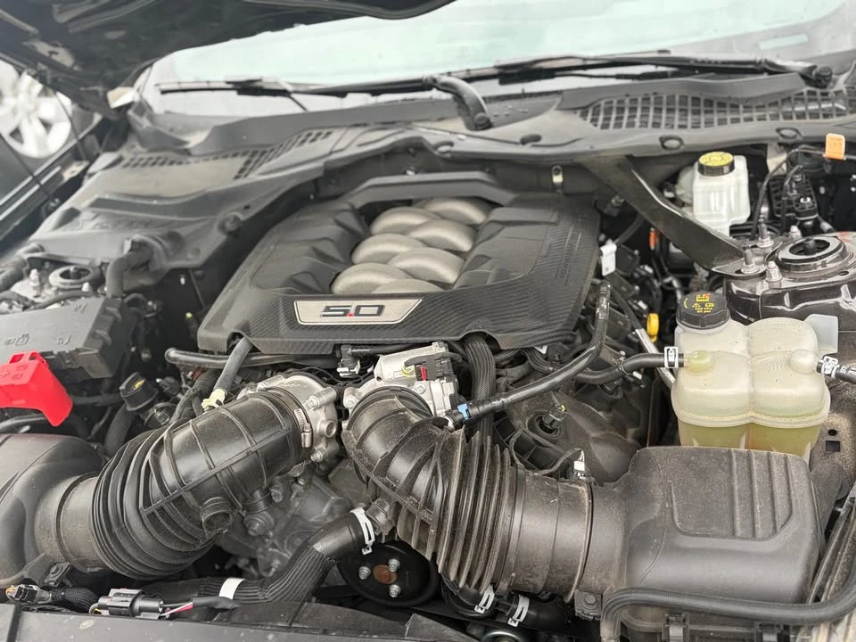 2024 Ford S650 Mustang - Image 16 of 16
