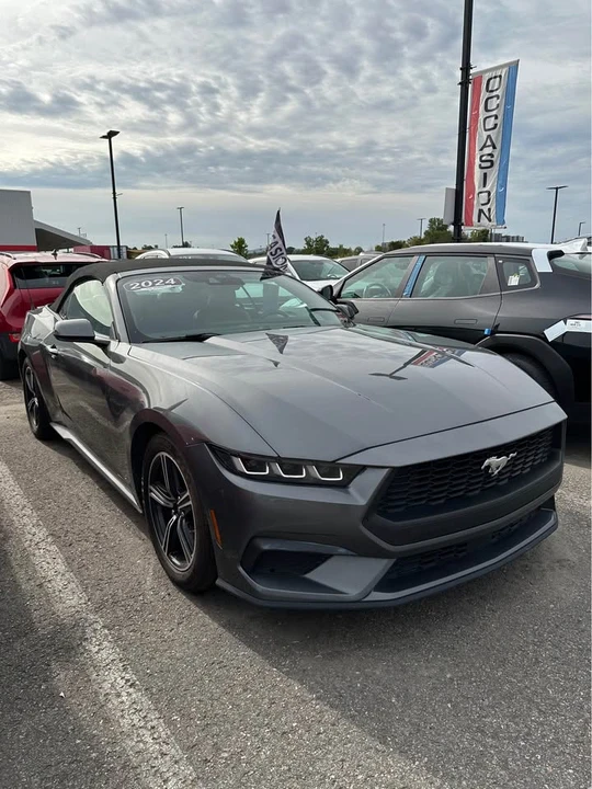 2024 Ford S650 Mustang - Image 4 of 6