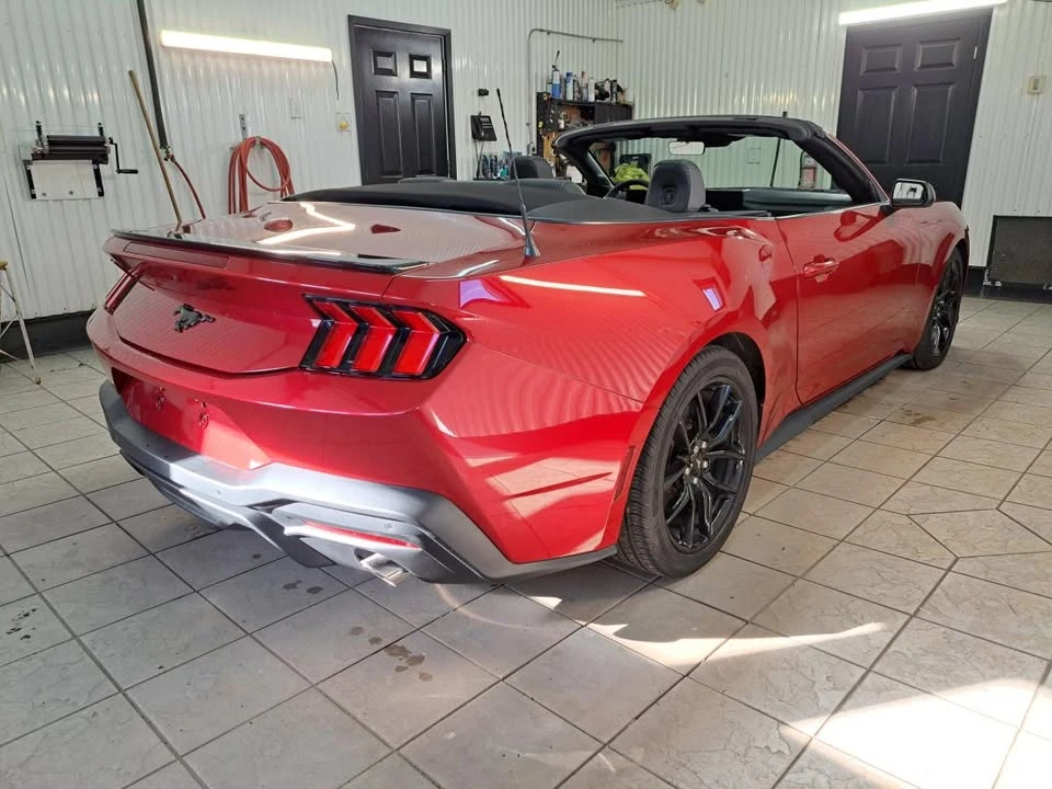 2024 Ford S650 Mustang - Image 3 of 14