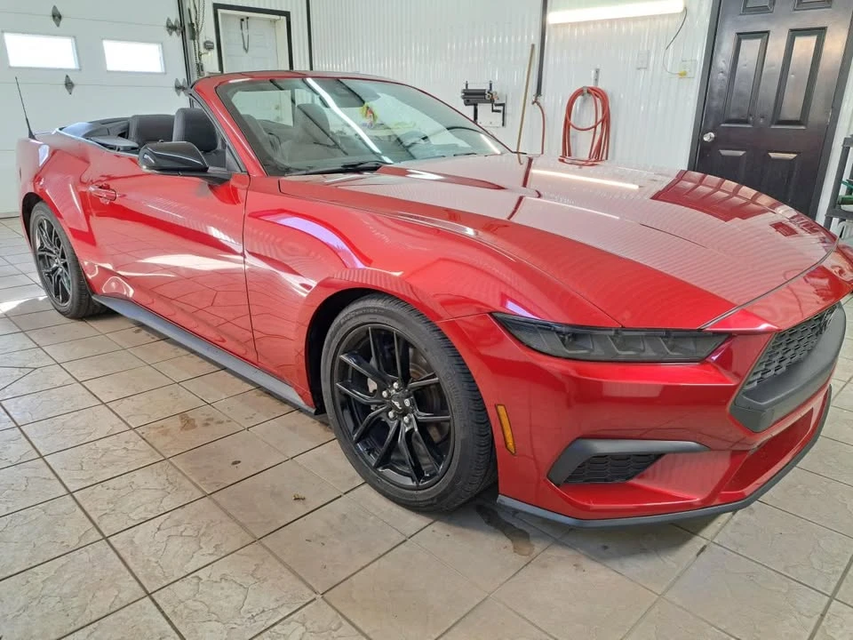 2024 Ford S650 Mustang - Image 4 of 14