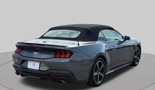 2024 Ford S650 Mustang - Image 4 of 12