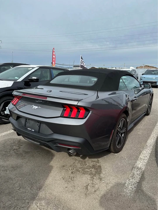 2024 Ford S650 Mustang - Image 2 of 6