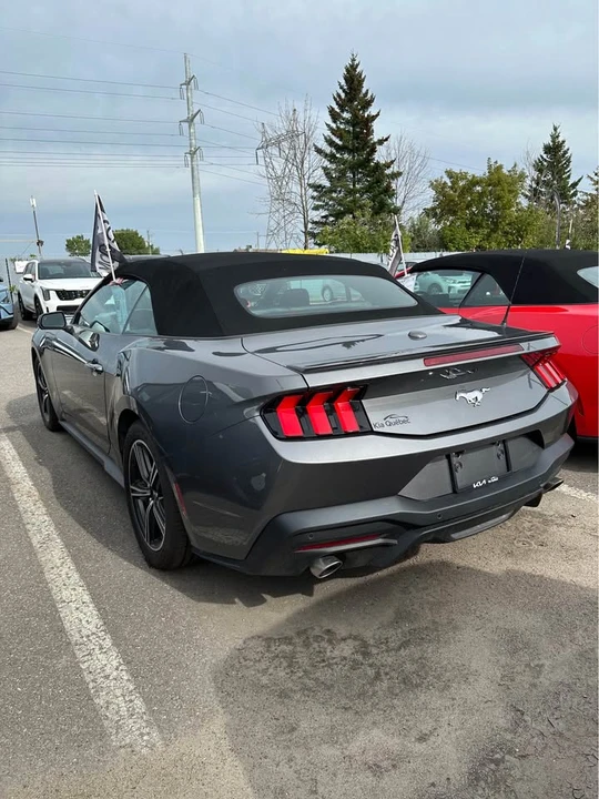 2024 Ford S650 Mustang - Image 5 of 6