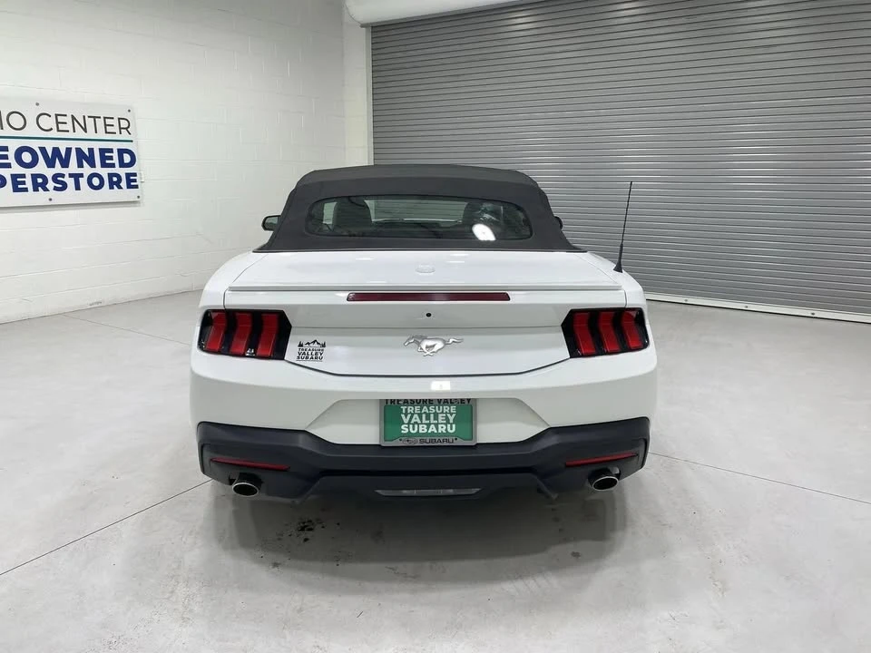 2024 Ford S650 Mustang - Image 6 of 20