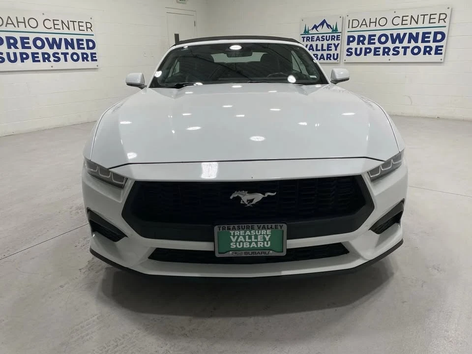 2024 Ford S650 Mustang - Image 2 of 20