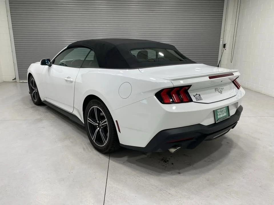 2024 Ford S650 Mustang - Image 5 of 20